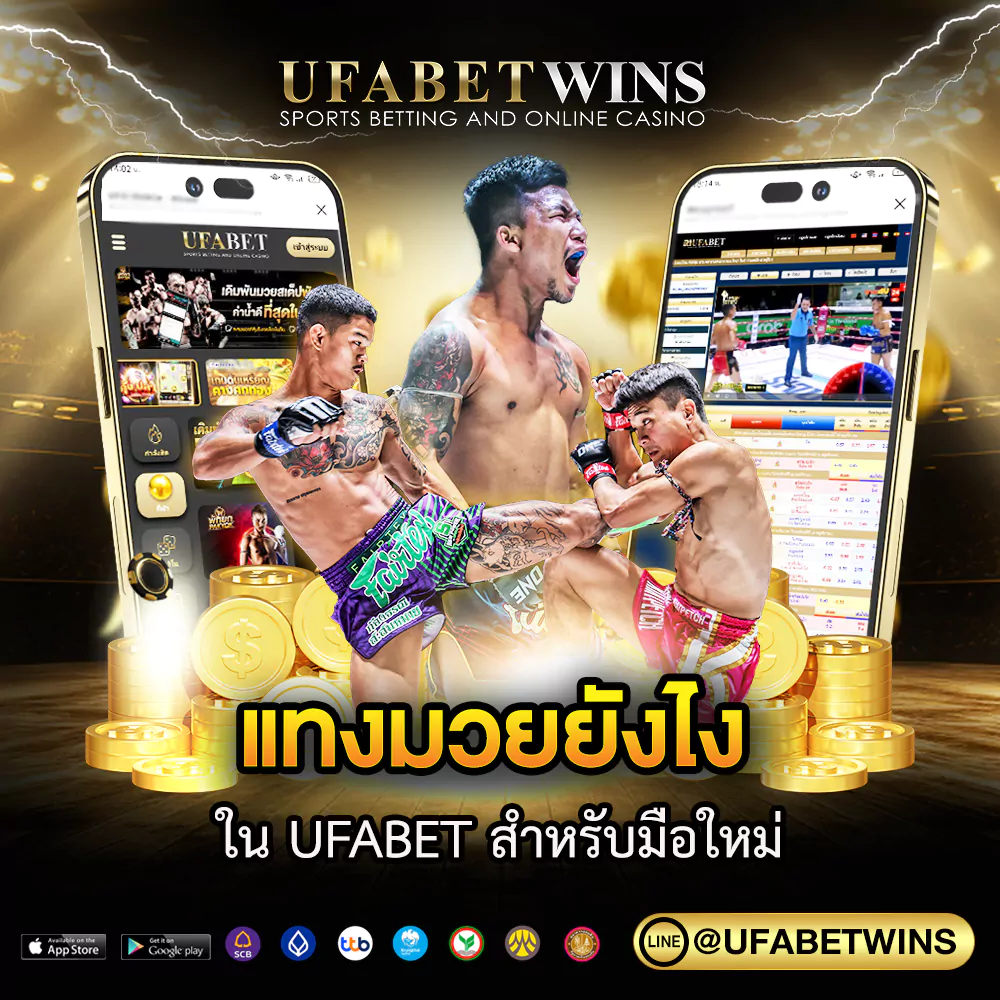 แทงมวยยังไง