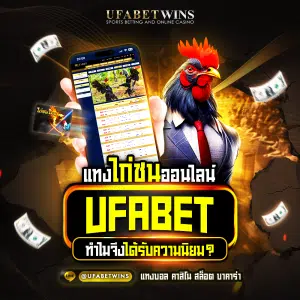 แทงไก่ชนออนไลน์