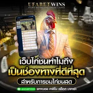 เว็บไก่ชน